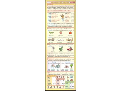 ZÁLOŽKA PODSTATNÁ JMÉNA URČUJEME