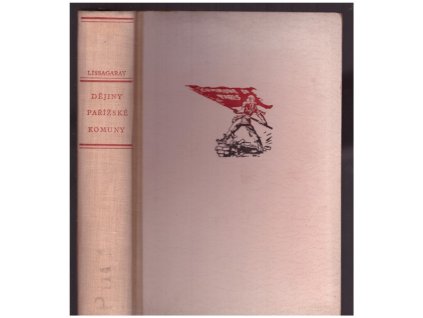 B19294