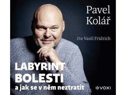 LABYRINT BOLESTI (AUDIOKNIHA)  Kolář Pavel