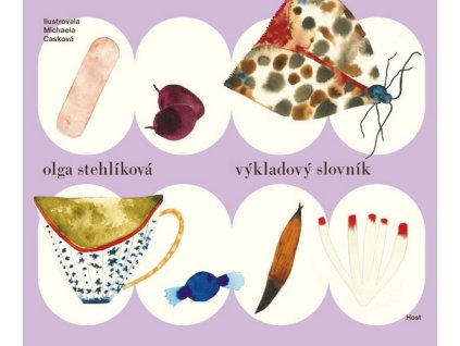 VÝKLADOVÝ SLOVNÍK  Stehlíková Olga