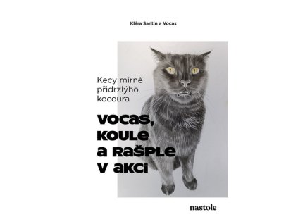 KECY MÍRNĚ PŘIDRZLÝHO KOCOURA  Santin Klára