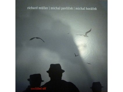 SOCIÁLNÍ SÍŤ  Muller Richard, Pavlíček Michal, Horáček