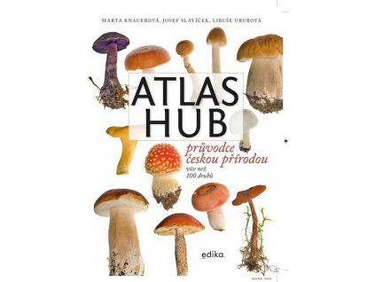 ATLAS HUB  Knauerová Marta