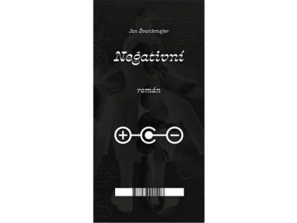 NEGATIVNÍ ROMÁN