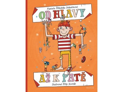 OD HLAVY AŽ K PATĚ  Sekaninová Štěpánka