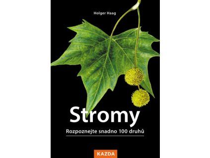 STROMY