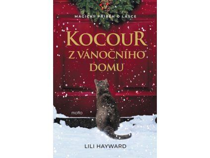 KOCOUR Z VÁNOČNÍHO DOMU  Hayward Lili
