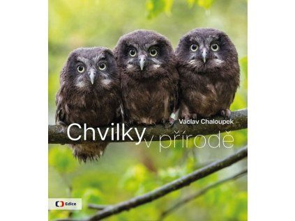 CHVILKY V PŘÍRODĚ  Chaloupek Václav