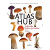 ATLAS HUB  Knauerová Marta
