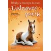 PŘÍBĚHY SE ŠŤASTNÝM KONCEM - UZDRAVENÝ PONÍK  Hawkins Sarah
