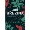 V KOPŘIVÁCH  Březina Jiří
