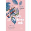 DŮM V TŘEŠŇOVÉM SADU  Volfová Radka
