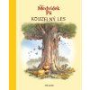 MEDVÍDEK PÚ  - KOUZELNÝ LES  Kolektiv
