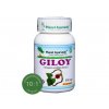 Giloy extrakt