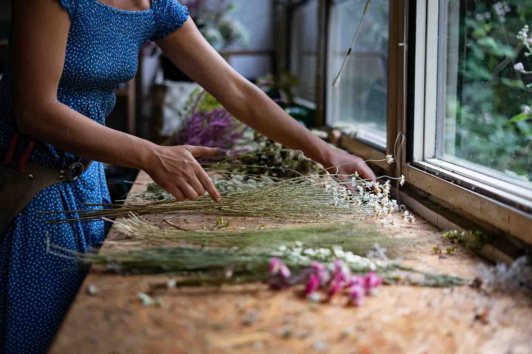 Zahradní kvítí, Brno: Květinový průmysl očima české farmářky