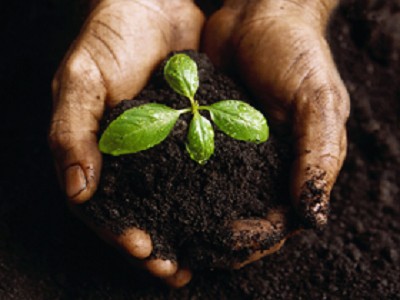 4 ZÁKLADNÍ PRAVIDLA KOMPOSTOVÁNÍ