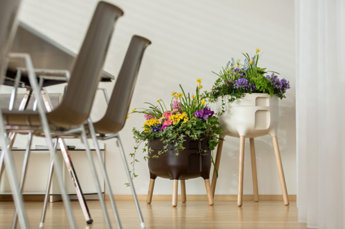 Co vše dokáží samozavlažovací nádoby na pěstování rostlin?