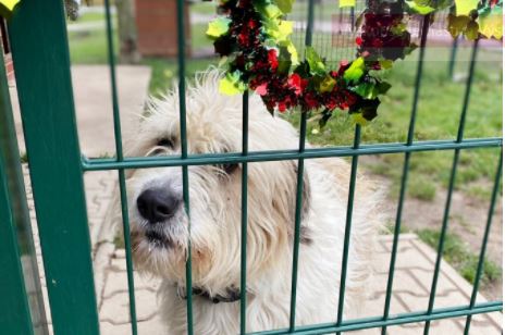 Darujme čas, vždy když se dá