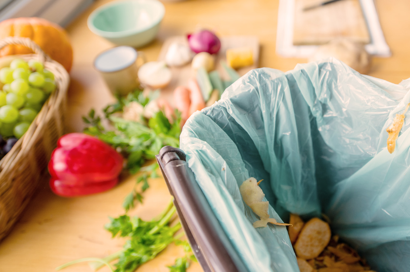Ako triediť bio odpad v roku 2021? Zemito vám poradí ako na to!