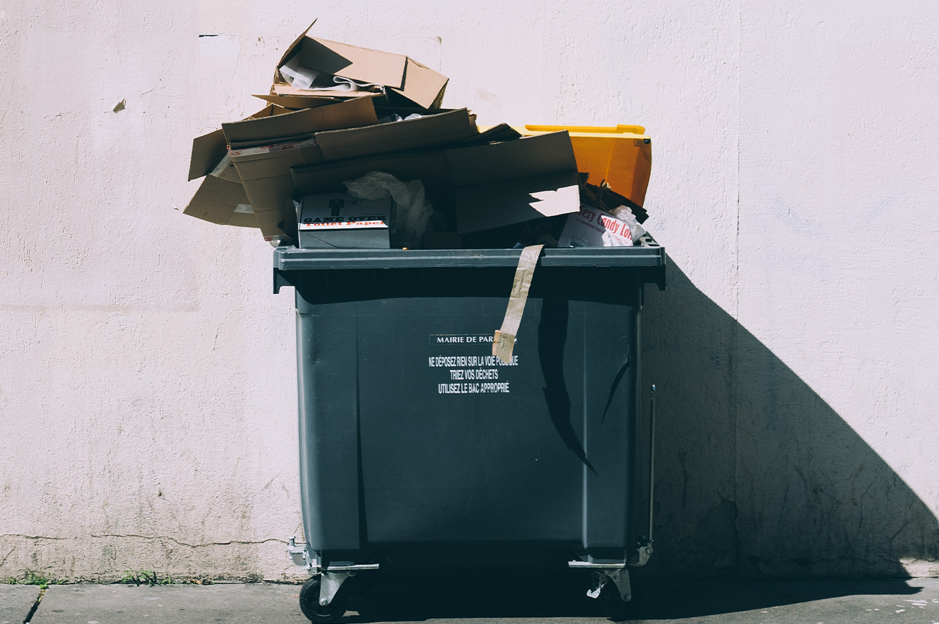Ako správne separovať odpad - pravdy a mýty o recyklovaní