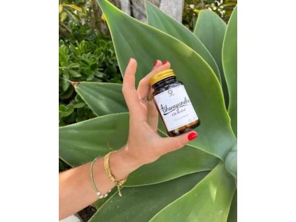 312ae6ec2f114316b2d2c185a6024cda u64ad40e21c618 ash6 1