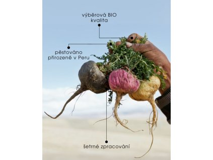 41ac7edb7956a4c58cf1871b7c549aa2 maca 4xpower 5