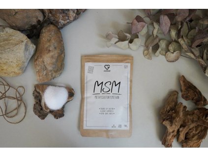 00b74845ce183687522914f27a6d1d23 dsc09237