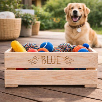 CZ BedynkaNaPsiHracky1