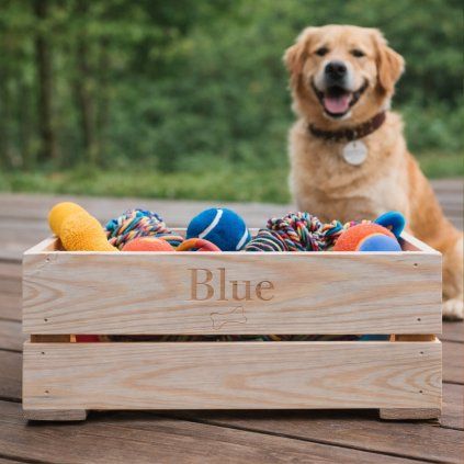 CZ BedynkaNaPsiHracky