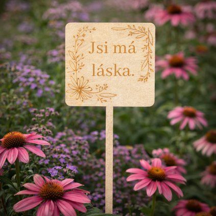 CZ Spejle Ctverec JsiMaLaska