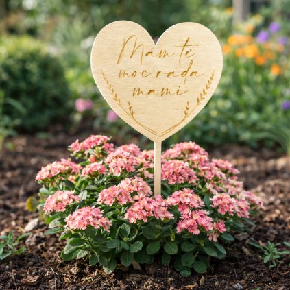 CZ Spejle Srdce MamTeMocRada