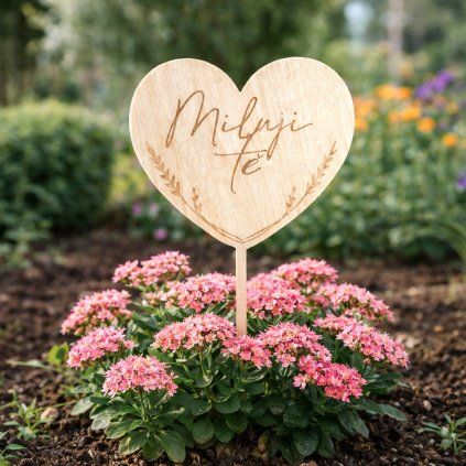 CZ Spejle Srdce MilujuTe