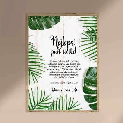 CZ Plakat NejlepsiUcitel HnedyRam