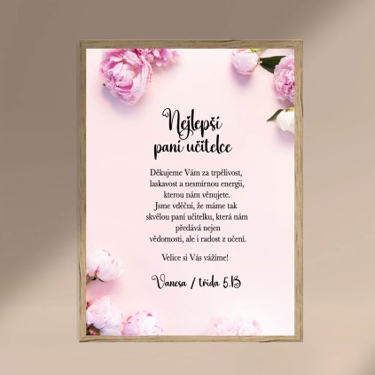 CZ Plakat NejlepsiUcitelce HnedyRam