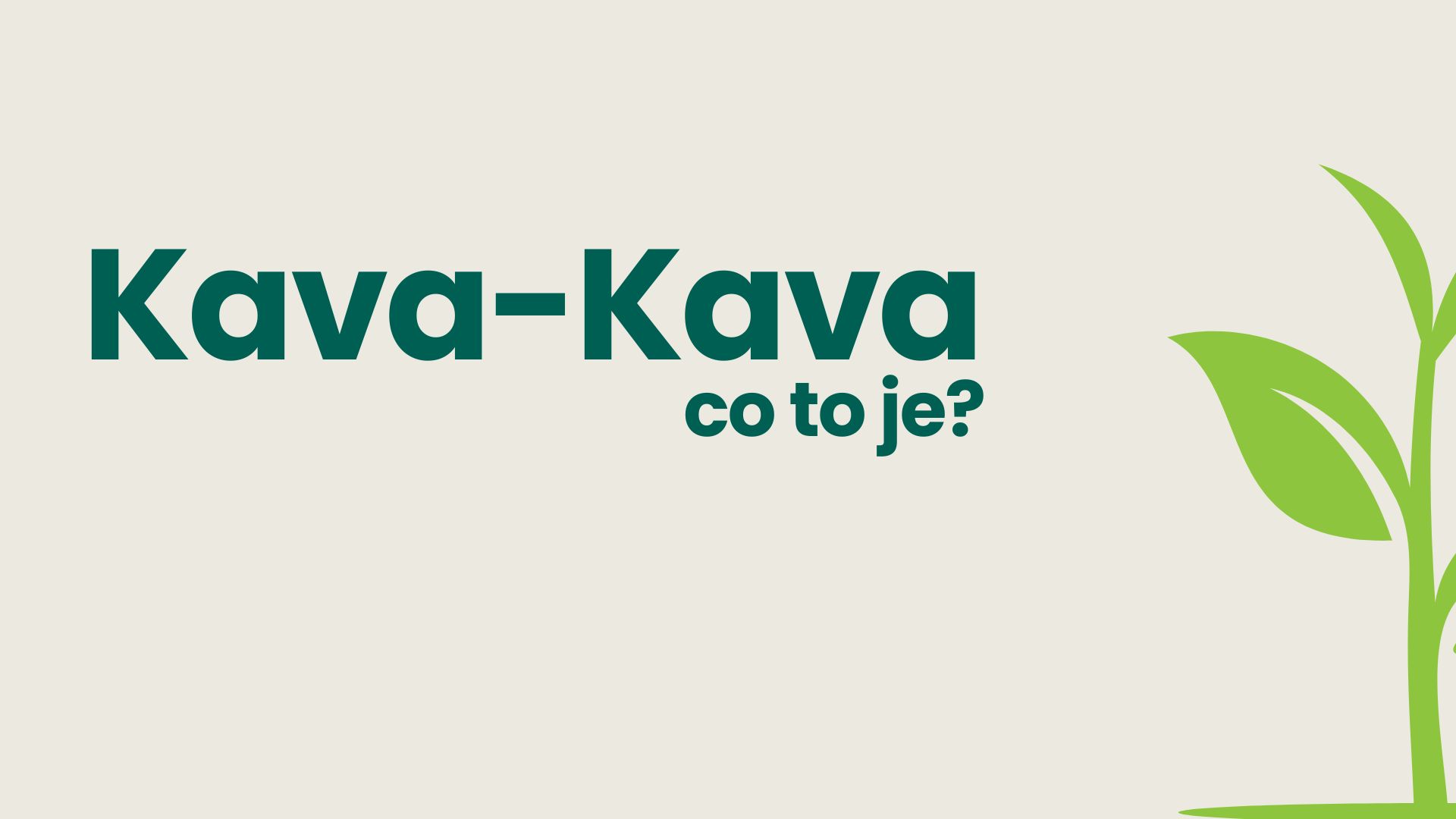 Kava kava a jaké má účinky, co to je?
