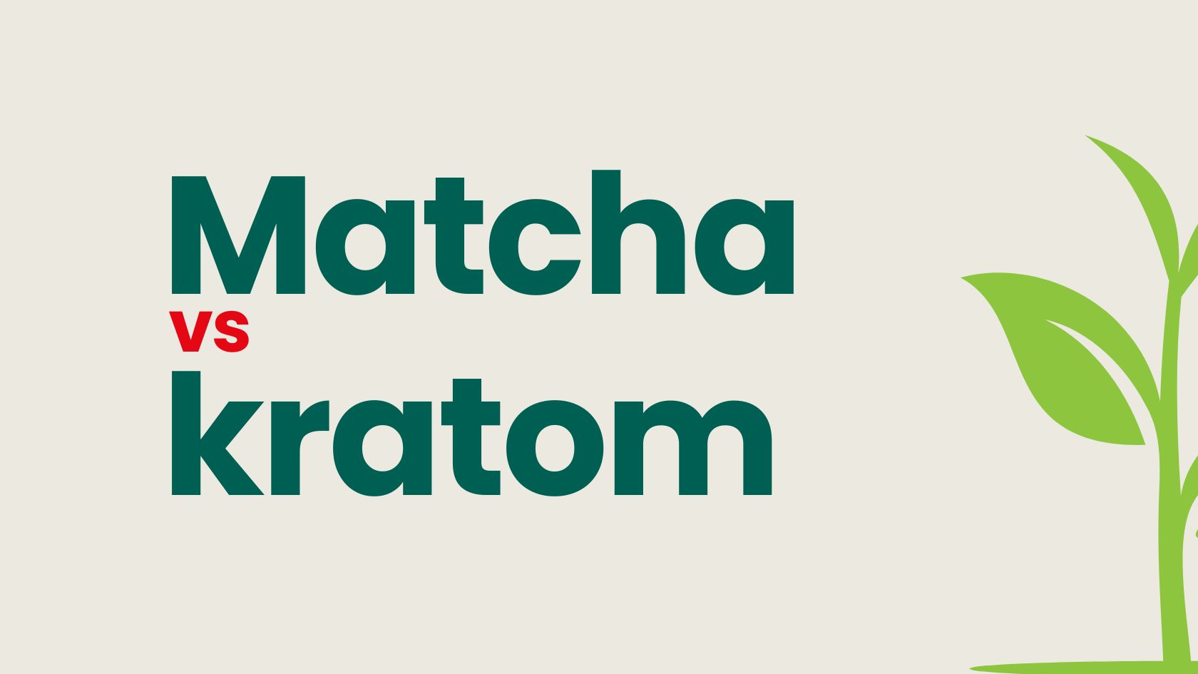 Kratom vs Matcha [Jaký je v tom rozdíl]