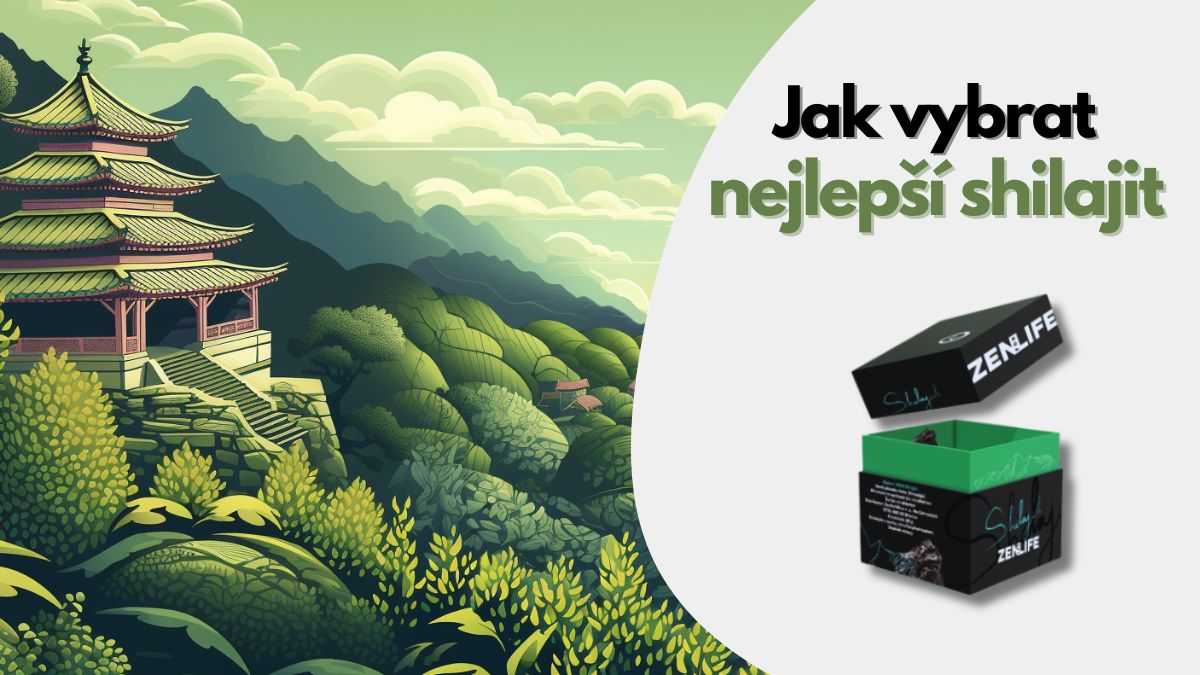 Nejlepší Shilajit - dávkování, účinky