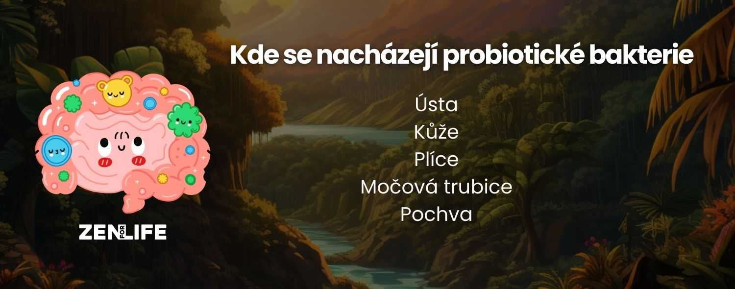kde-jsou-probiotika