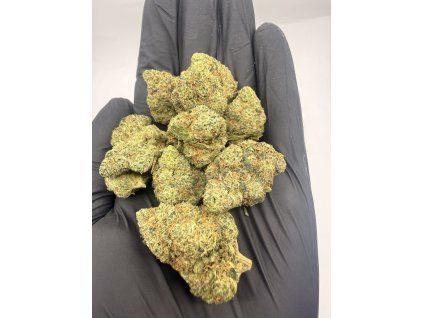 THCX květy HAZE BERRY