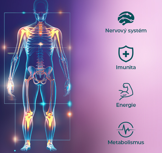 Hlavní benefity multiminerálu