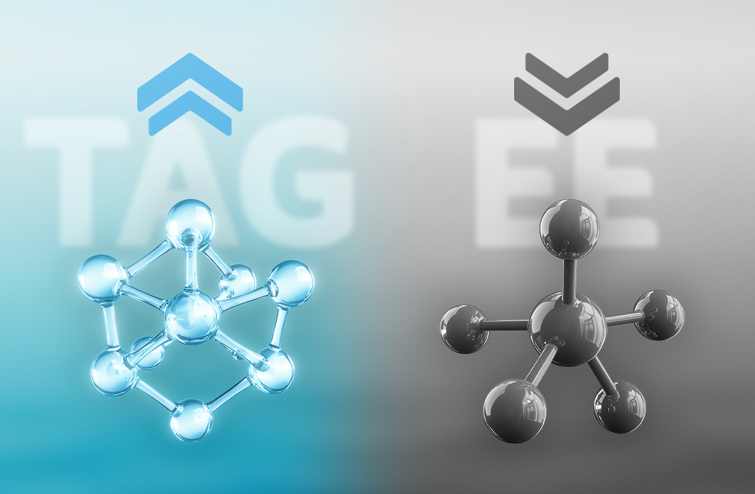 TAG vs. EE