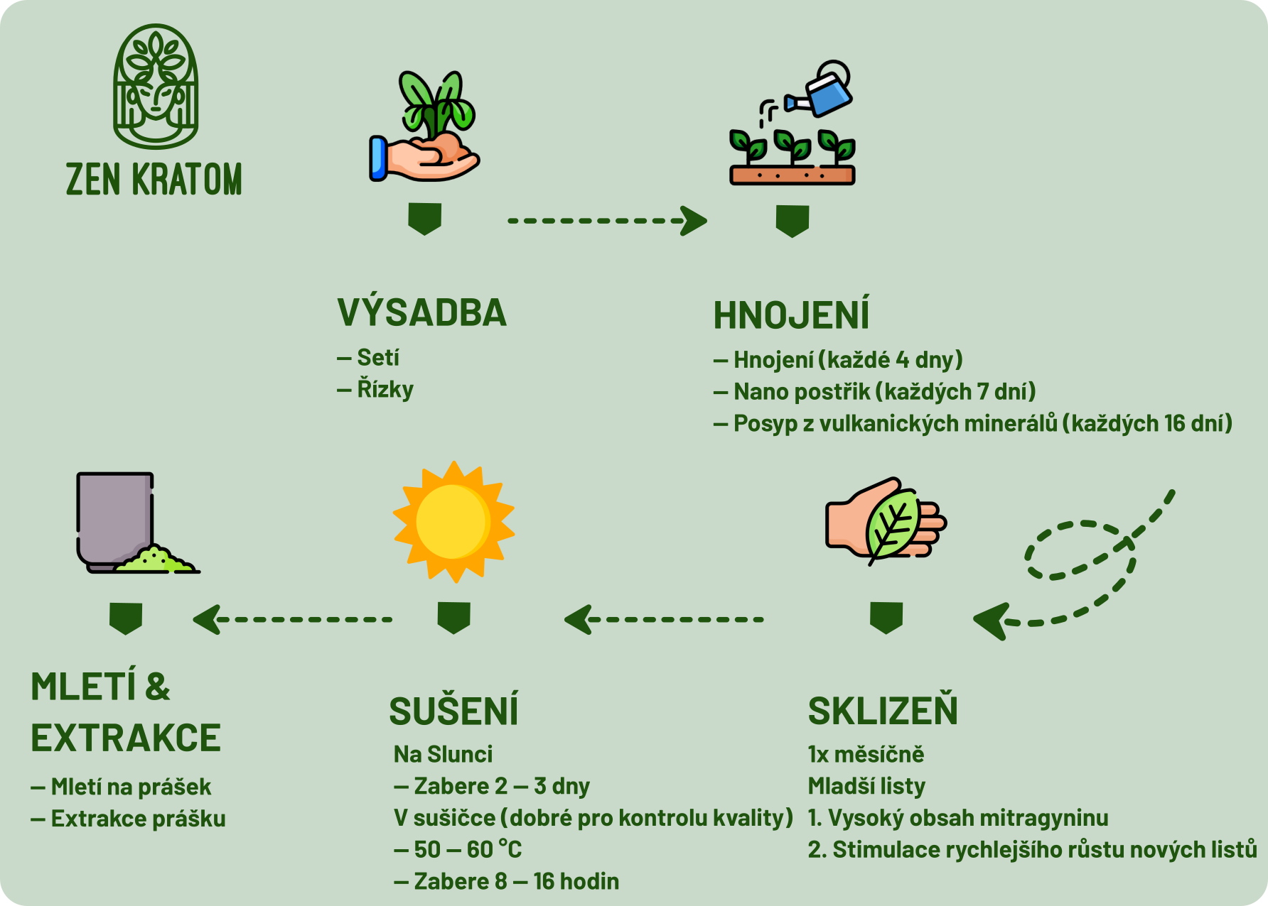 výroba-kratomu-zen-kratom_1