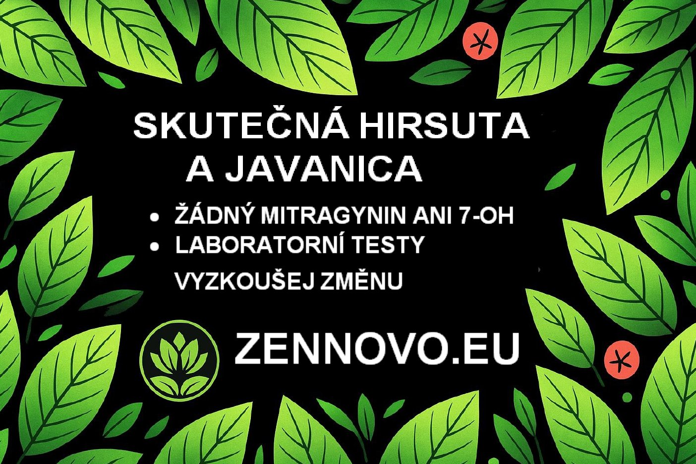 Hirsuta a Javanica