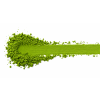 matcha prasek lajna