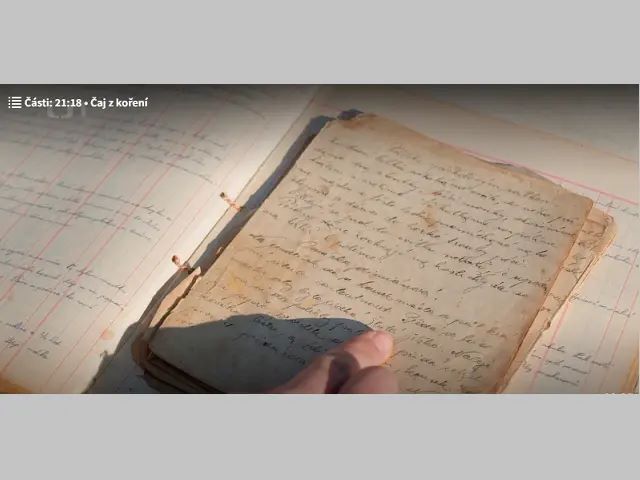 Bylinné čaje při nachlazení