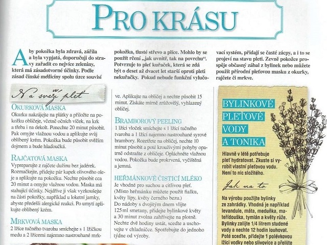 Vlasta-rady Pro krásu