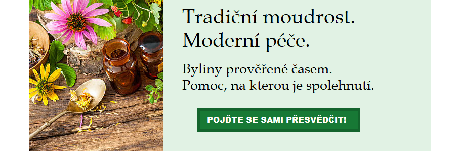 Moudrost