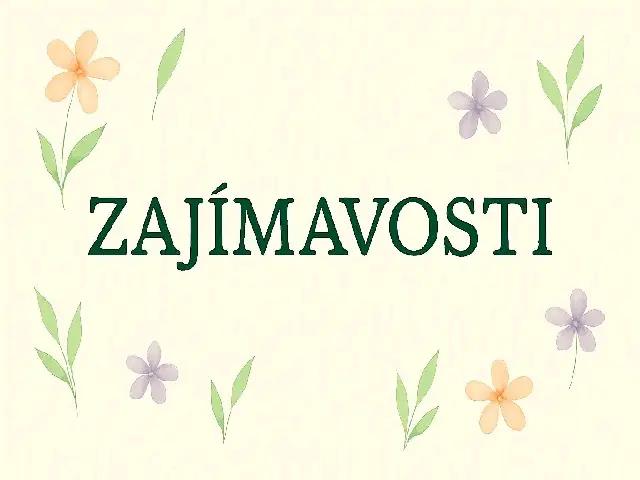 Zajímavosti