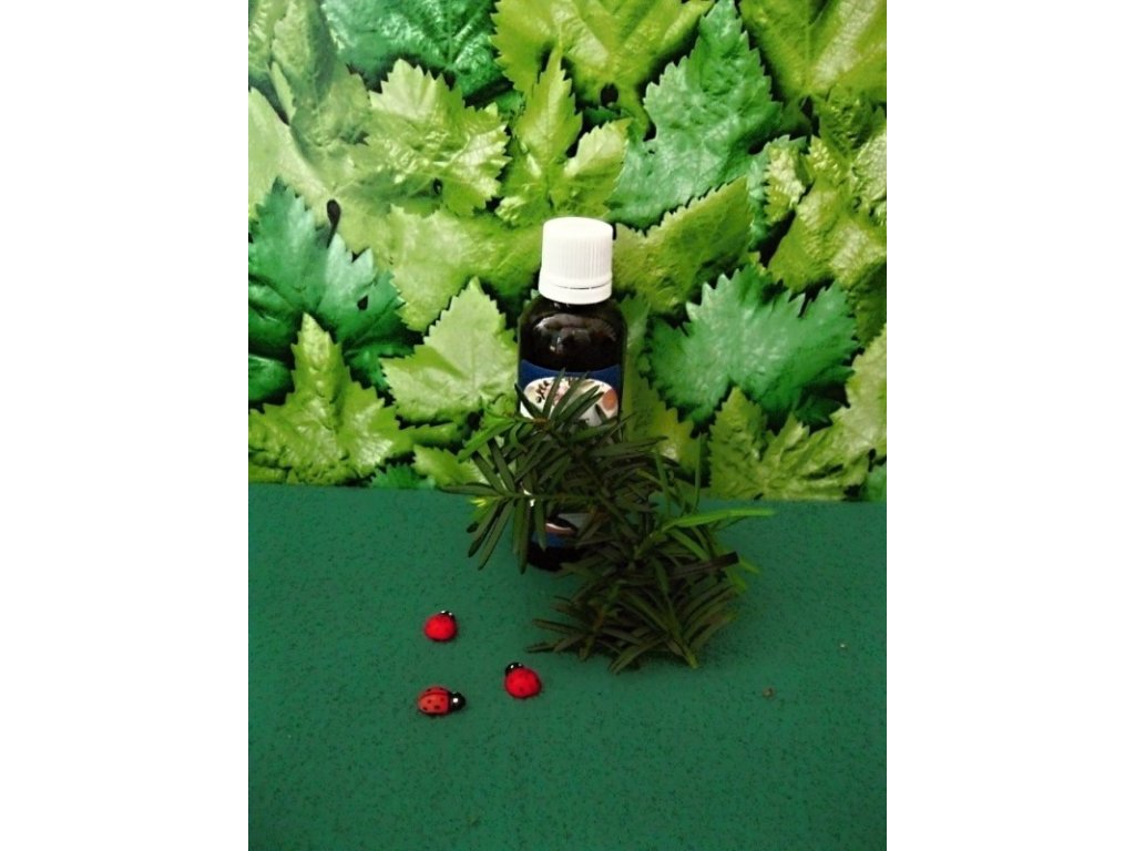 Topol černý tinktura z pupenů 50 ml (Gemmoterapie)