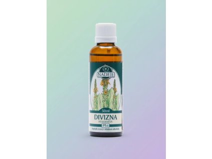 DIVIZNA VELKOKVĚTÁ